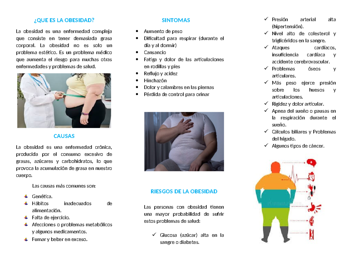 Tríptico Informativo Sobre La Obesidad ¿que Es La Obesidad La