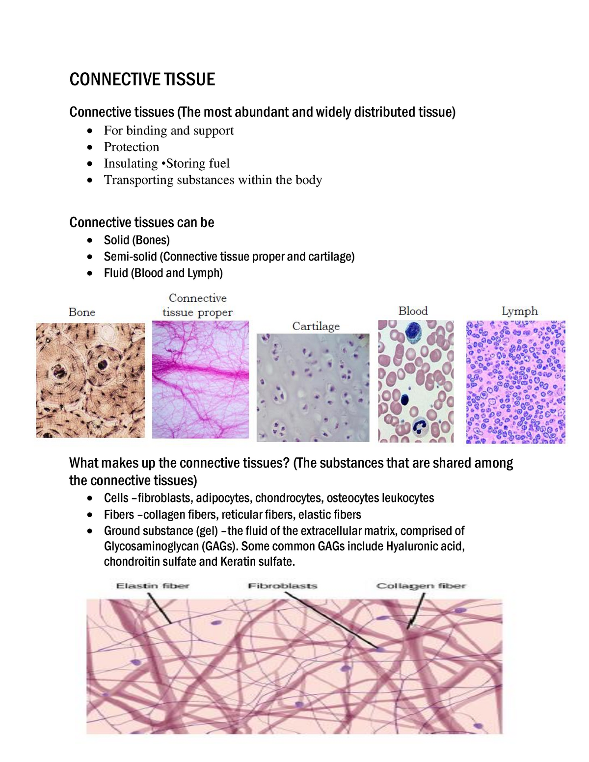 Connective Tissue - Lecture Notes 1-8 - BS Biology - WMSU - Studocu