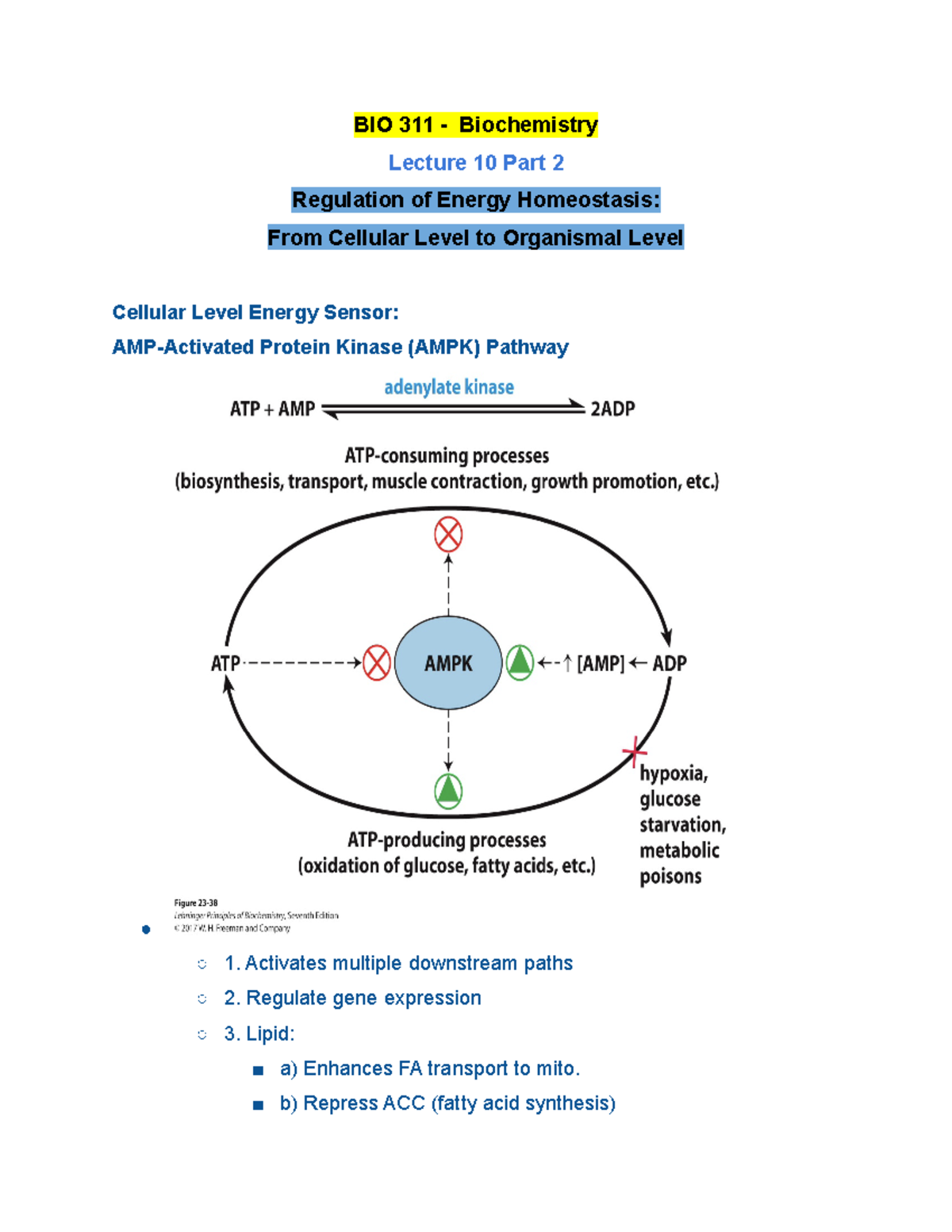 BIO 311 Lecture 10 Part 2 Fall 2020 - BIO 311 - Biochemistry Lecture 10 ...