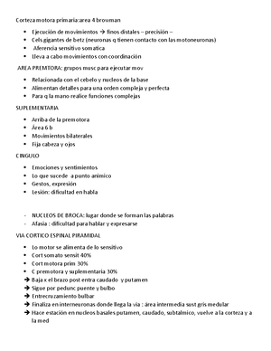 Solved Mapa Conceptual De Sensibilidad Somtica Fisiolog A Studocu