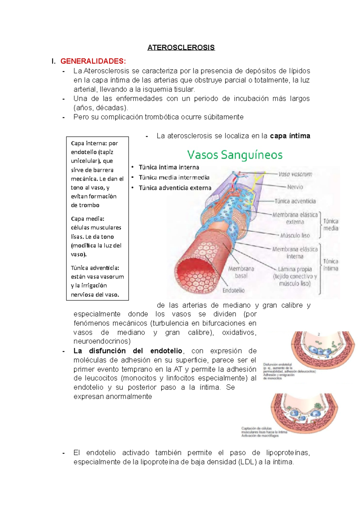 Aterosclerosis - Resumen Porth. Fisiopatología - ATEROSCLEROSIS I ...