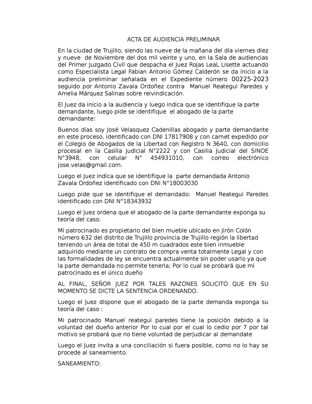 ACTA DE Audiencia Preliminar - ACTA DE AUDIENCIA PRELIMINAR En La ...