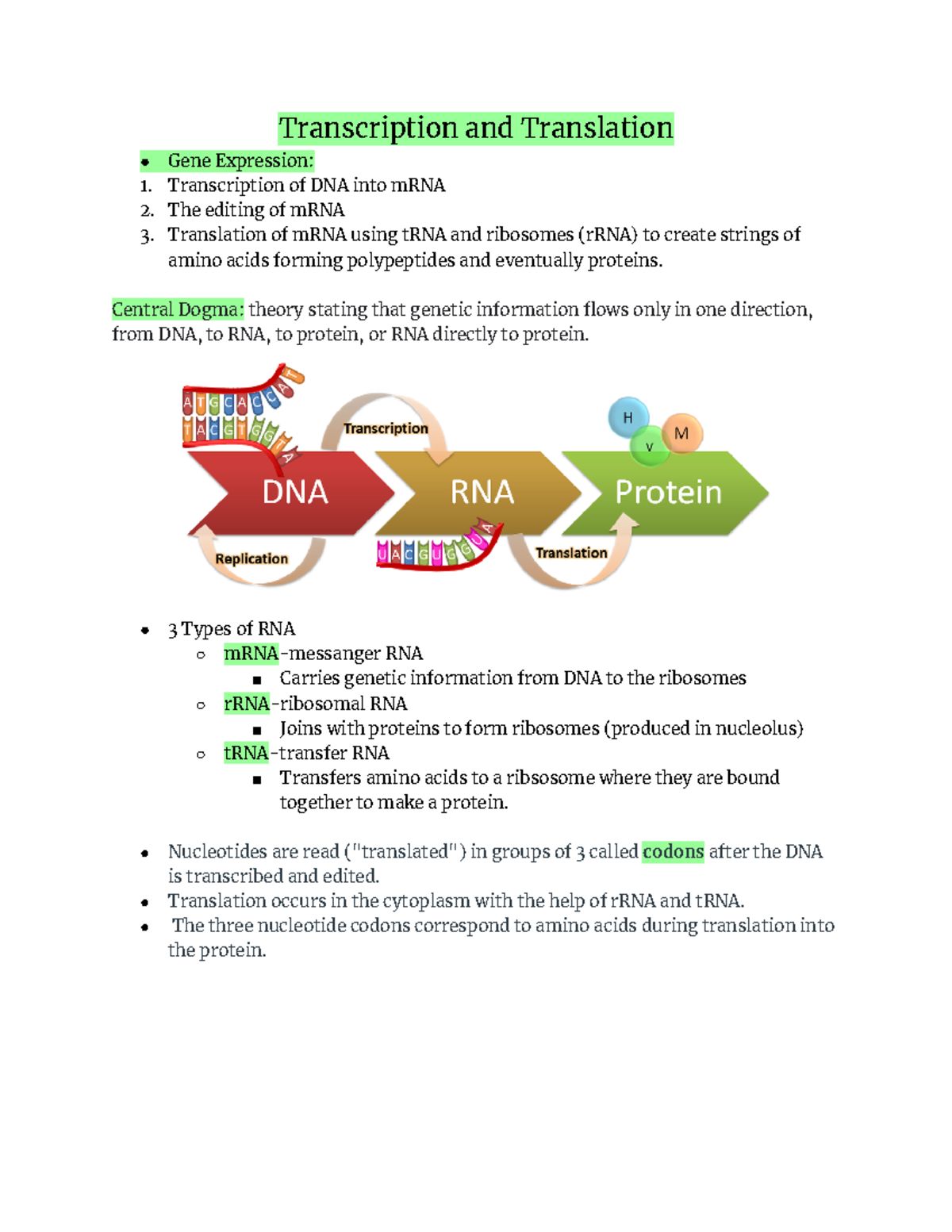 Ch.17: Transcription and Translation - Transcription and Translation ...