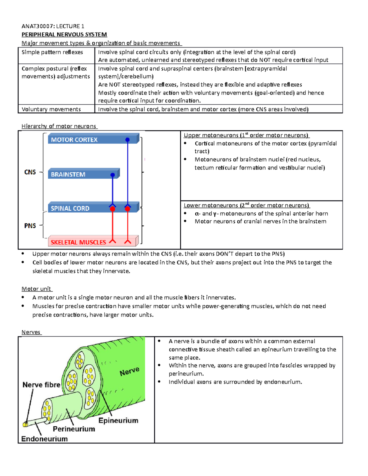 Lecture 1 Peripheral Nervous System Anat30007 Lecture 1 Peripheral Lecture 1 Peripheral Nervous System Anat30007 Lecture 1 Peripheral