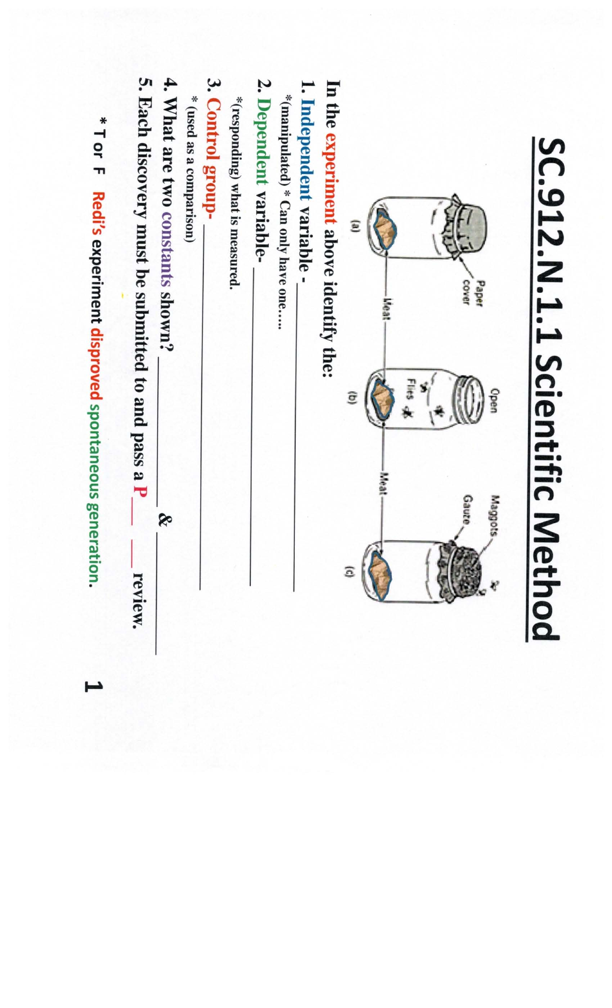 Suydam Gallery Walk 1 1 - art - SC.912.N.1 Scientific Method Open ...