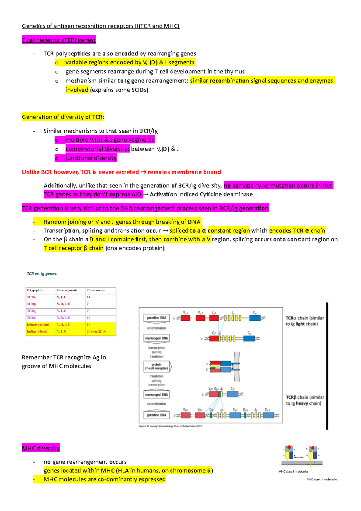 CMB2004 L3 - Lecture notes 3 - Genetics of antigen recognition ...