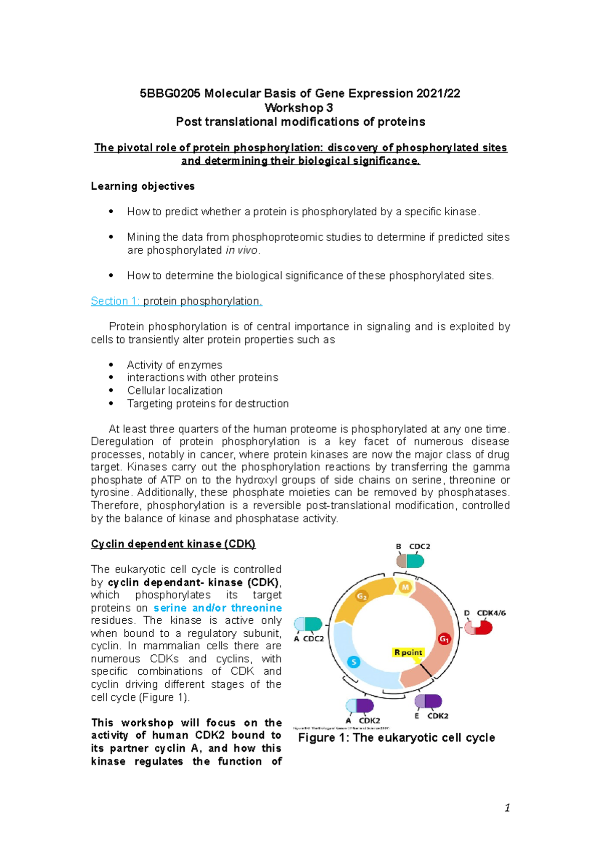 5BBG0205 Workshop 3 2021 - 5BBG0205 Molecular Basis of Gene Expression ...