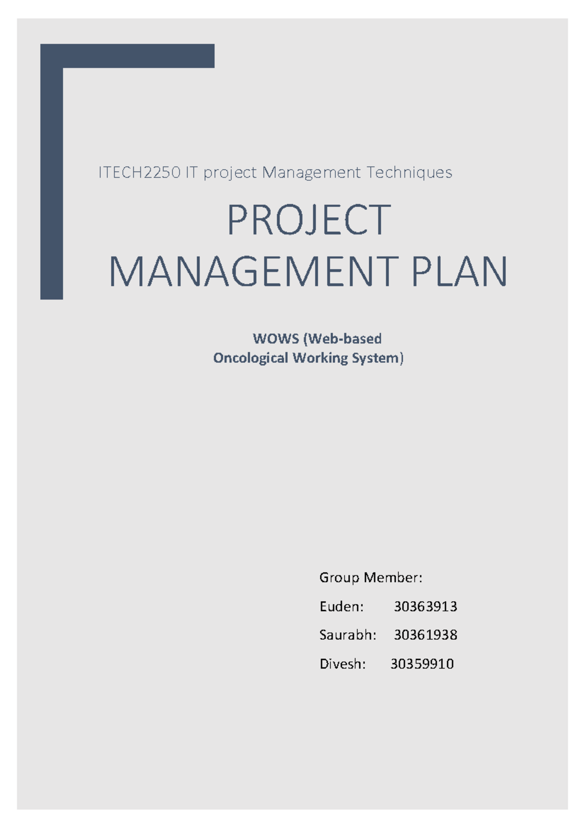 project management group assignment final report