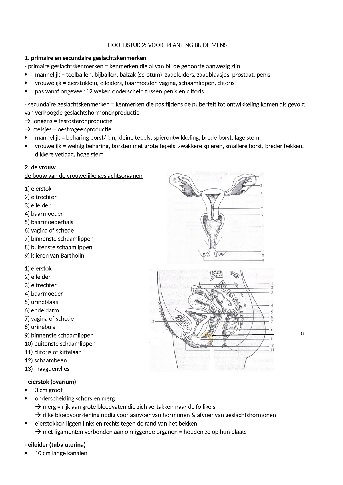 Biologie Hoofdstuk 2 - HOOFDSTUK 2: VOORTPLANTING BIJ DE MENS Primaire ...