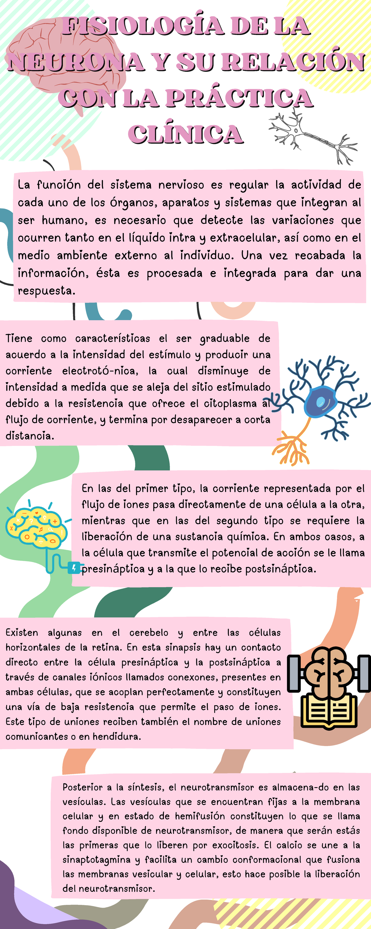 Infografia Neurona Infograf A Del Capitulo De Neurologia Clinica De