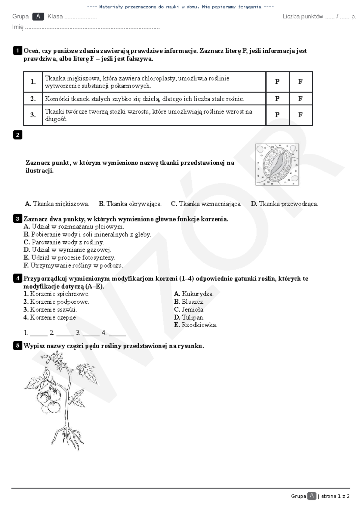 świat Roślin Sprawdzian Puls życia www.studocu.com