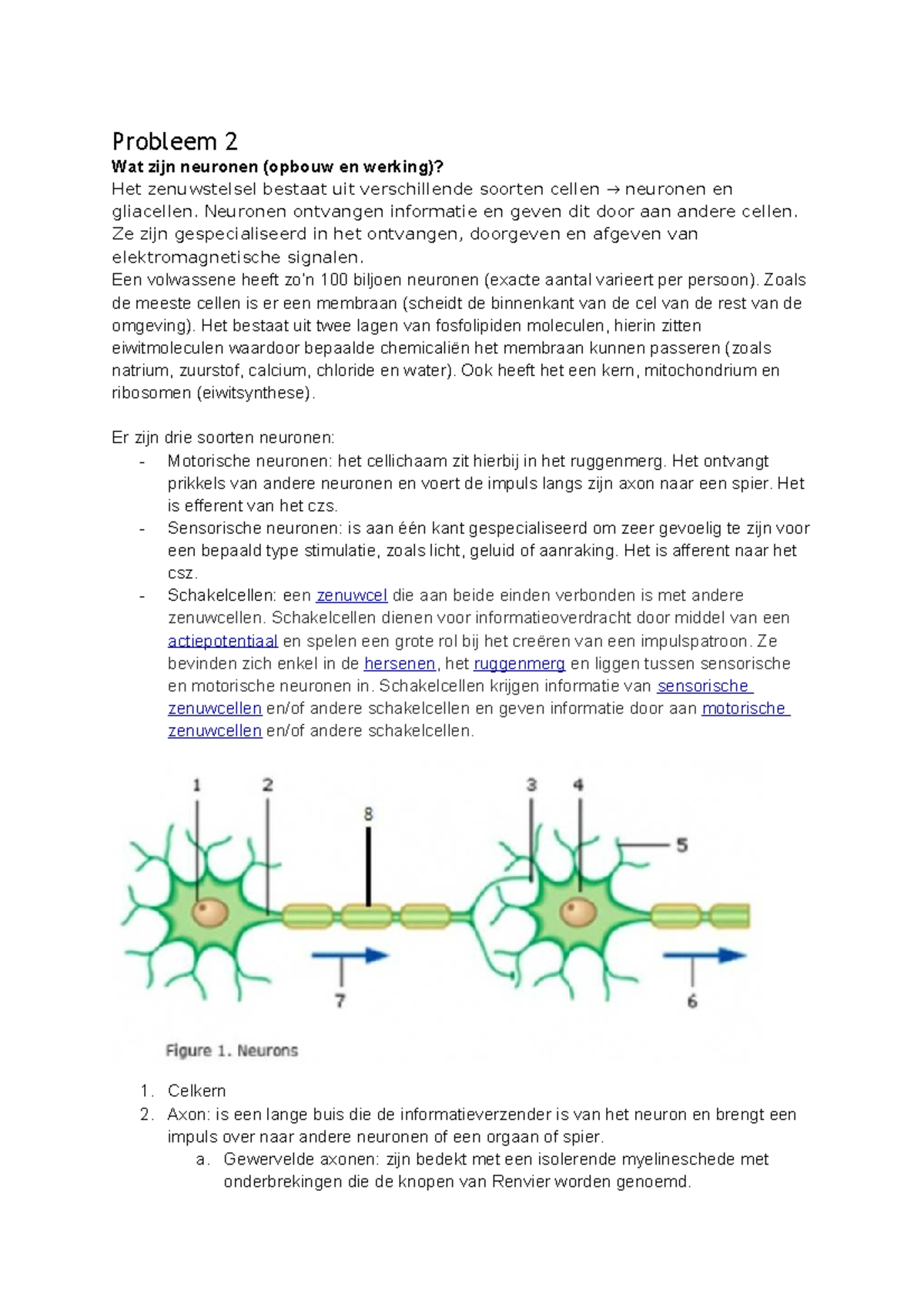 Blok 2.1 Probleem 2 - Probleem 2 Wat Zijn Neuronen (opbouw En Werking ...