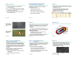 Bio 303 Chptr 7 - Compatibility Mode - © 2013 Pearson Education, Inc ...