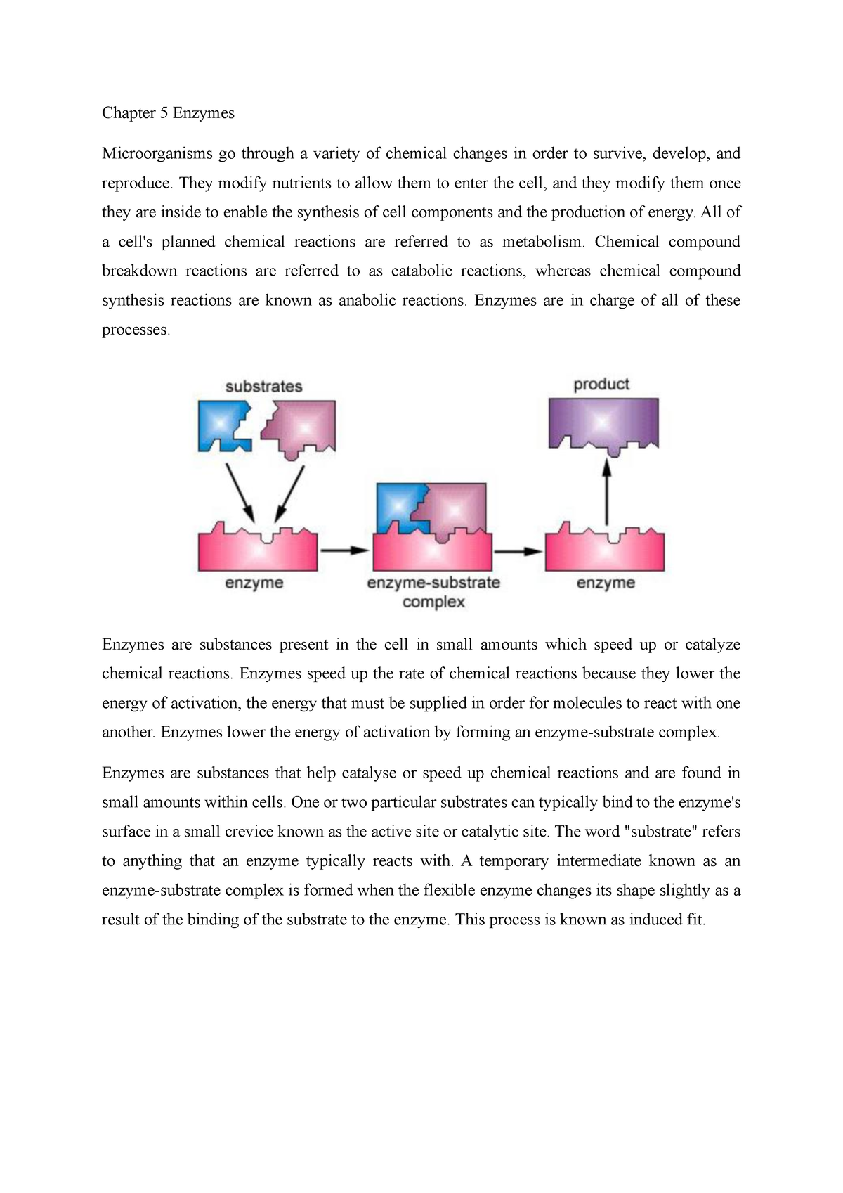 Chapter 5 Enzymes Part5 - Chapter 5 Enzymes Microorganisms Go Through A ...