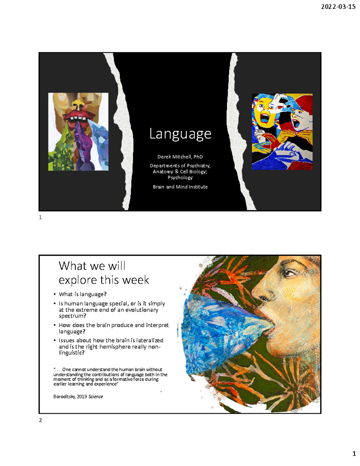 Neuro+2000 +Lecture+Language+2022v4 - Language Derek Mitchell, PhD ...