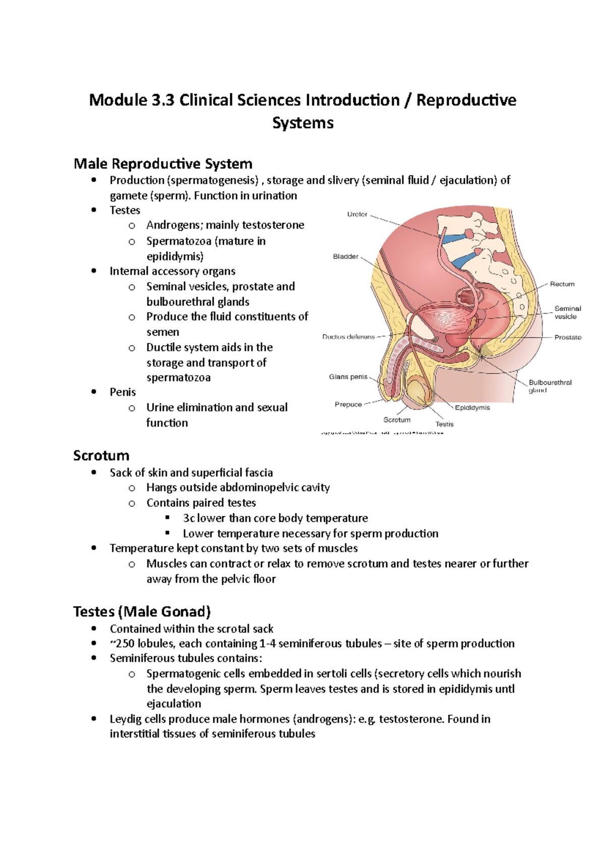 Module 3.3 lecture notes - Module 3 Clinical Sciences Introduction ...