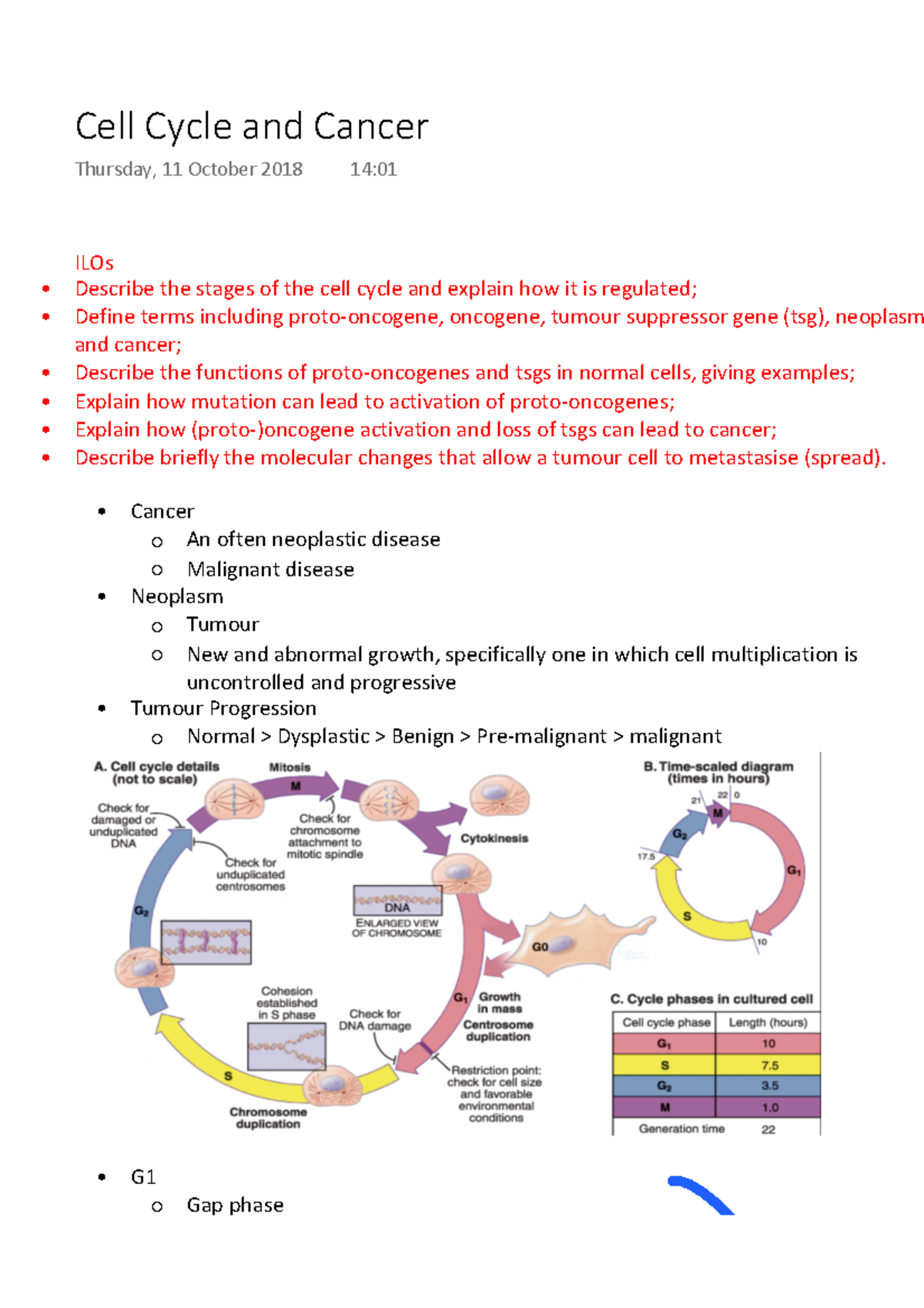 ILOs Describe the stages of the cell cycle and ... Biology Diagrams