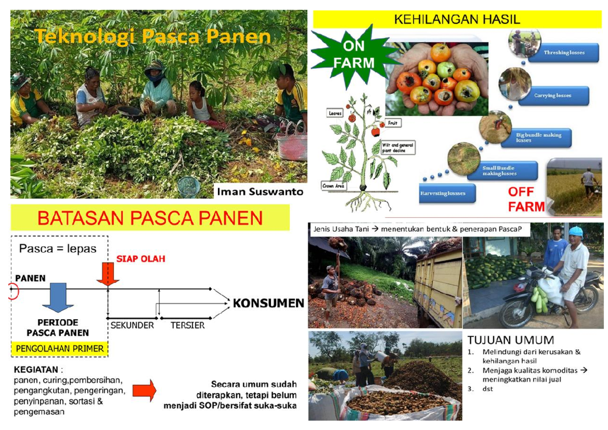 A-1-Pasca Panen - Materi - Fisiologi Dan Teknologi Pasca Panen ...