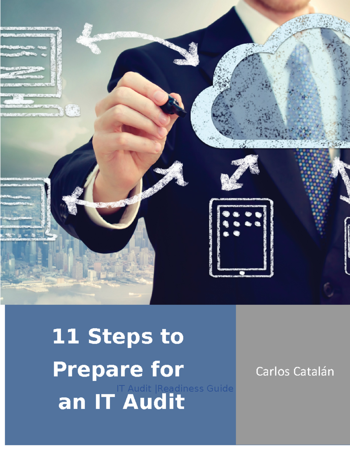 11 Steps for IT Audit - Large and small organizations are increasingly ...
