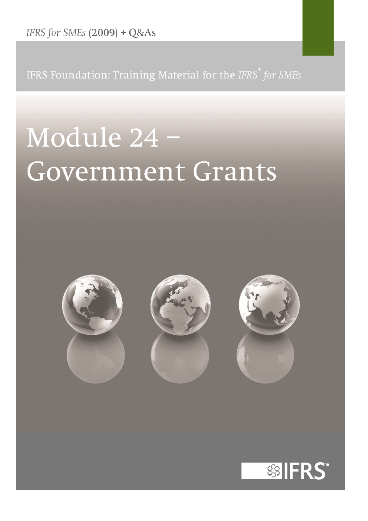 Gvnt Grant - financial Resporting Standards - IFRS for SMEs (2009) + Q ...