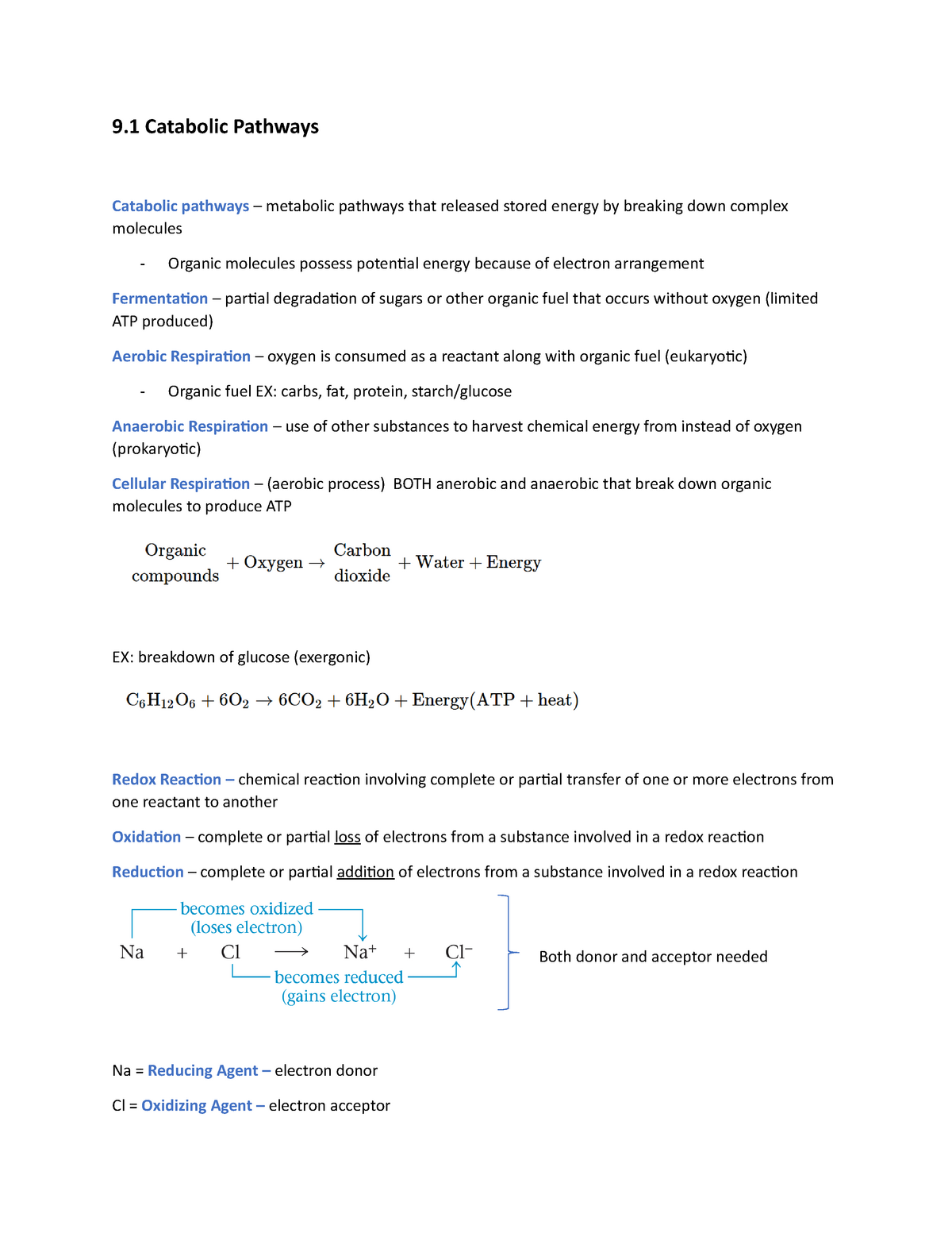 Ch. 9 Cellular Respiration and Fermentation - Thumb 1200 1553