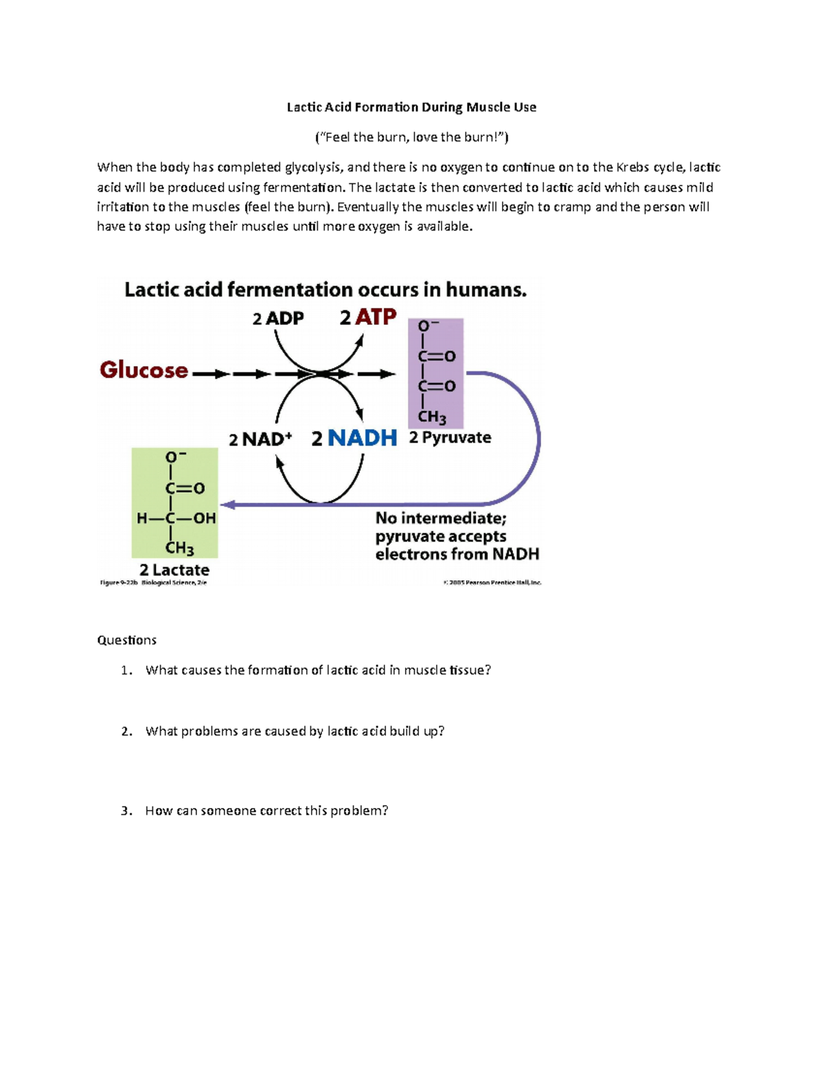 Sinclair general biology cellular respiration and lactic acid 2