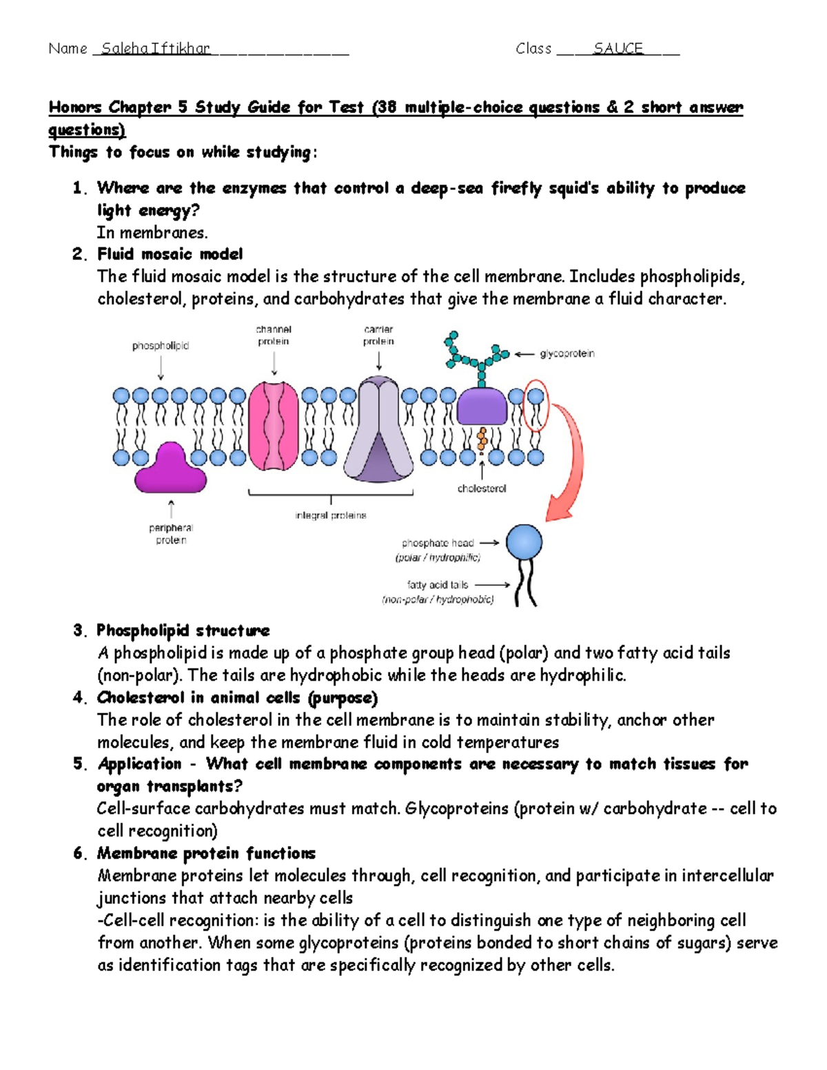 Chapter 5 Study Guide - Bio Ch 12 Notes - Honors Chapter 5 Study Guide ...