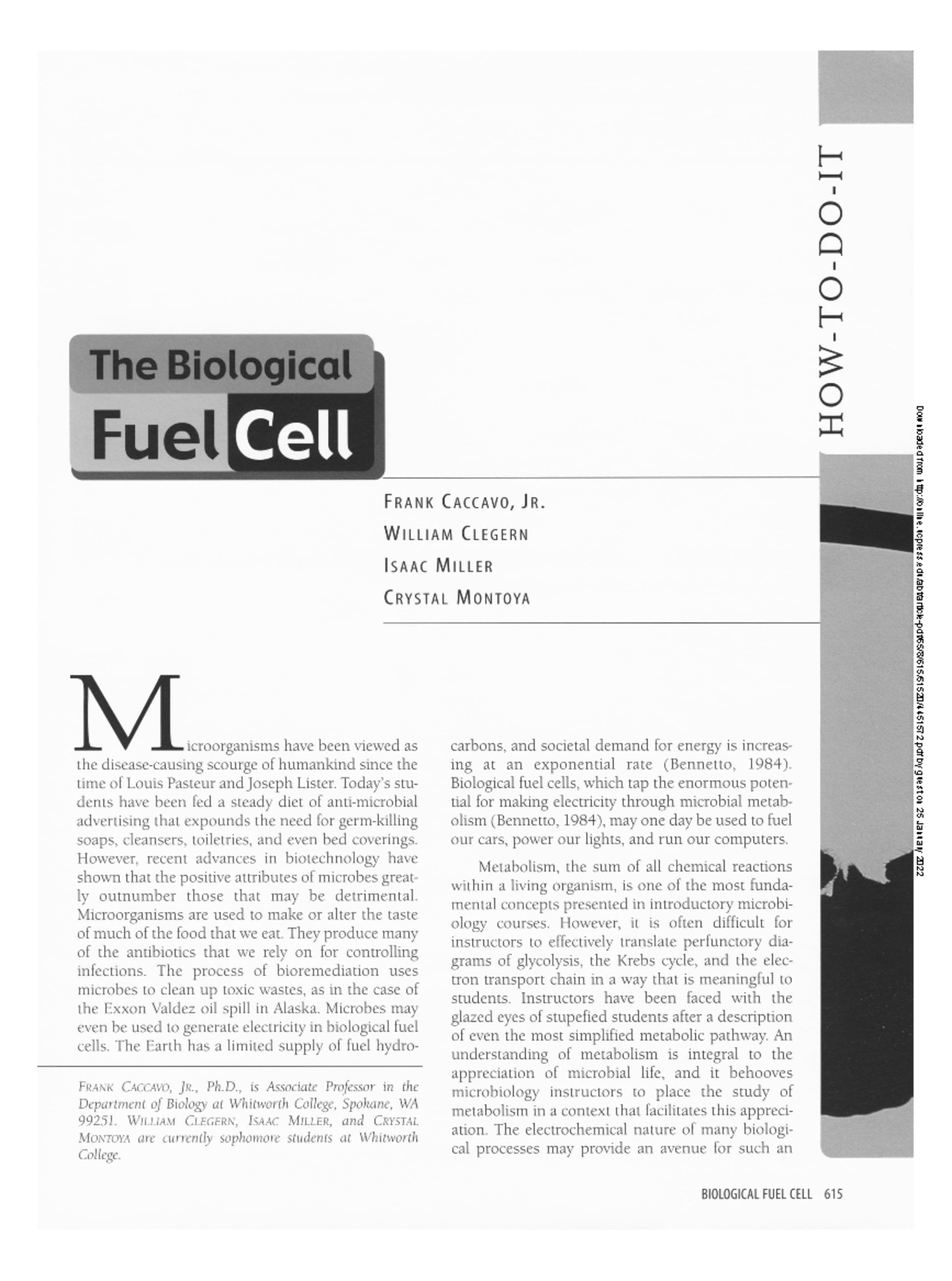 Biofuel cells electricity production - he Biological Fuel Cell ...