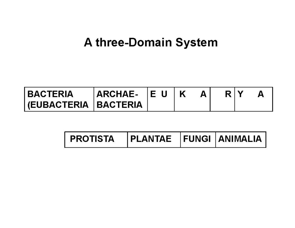 RB Cagmat Review Powerpoint Bacteria and Fungi - A three-Domain System ...