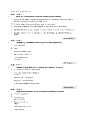 Neuroanatomy Quizzes - N E U R O A N AT O M Y Q U I Z Z E S Q U I Z 1 Q ...