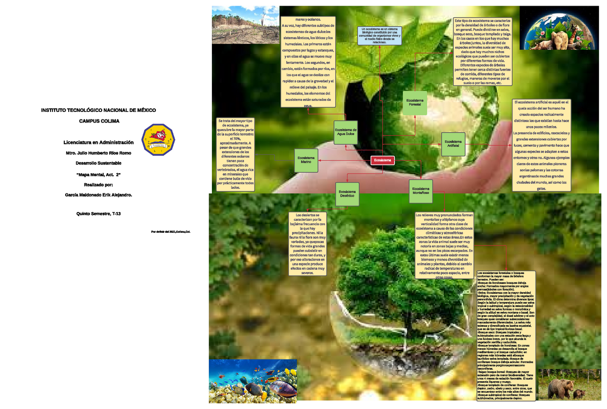 Mapa Mental Ecosistema del Planeta - Ecosistema Un ecosistema es un sistema  biológico constituido - Studocu