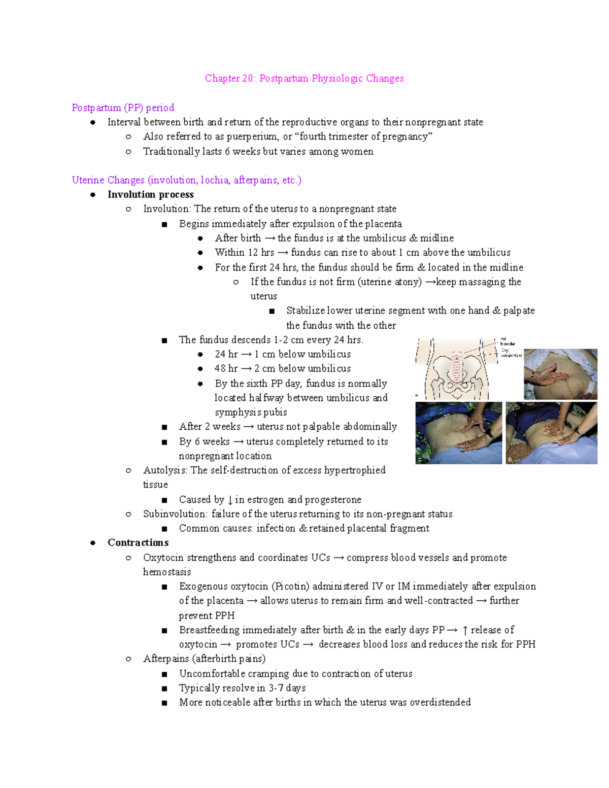 N132 Exam 3 Study Guide - Practice - Chapter 20: Postpartum Physiologic ...