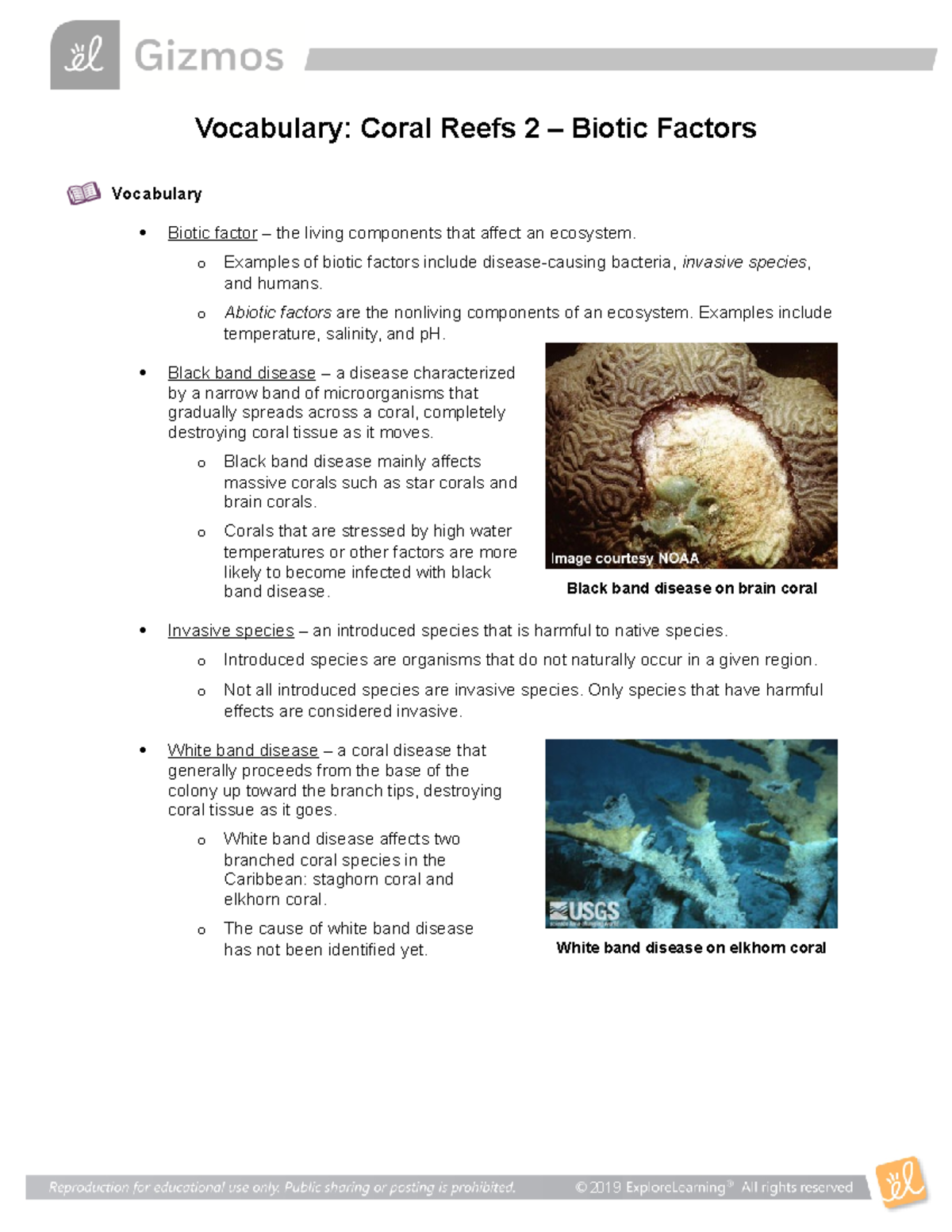 Coral Reefs 2Vocab - Bio - 2019 Vocabulary: Coral Reefs 2 – Biotic ...