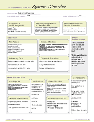 Active Learning Template ATI Hypovolemic Shock - ACTIVE LEARNING ...