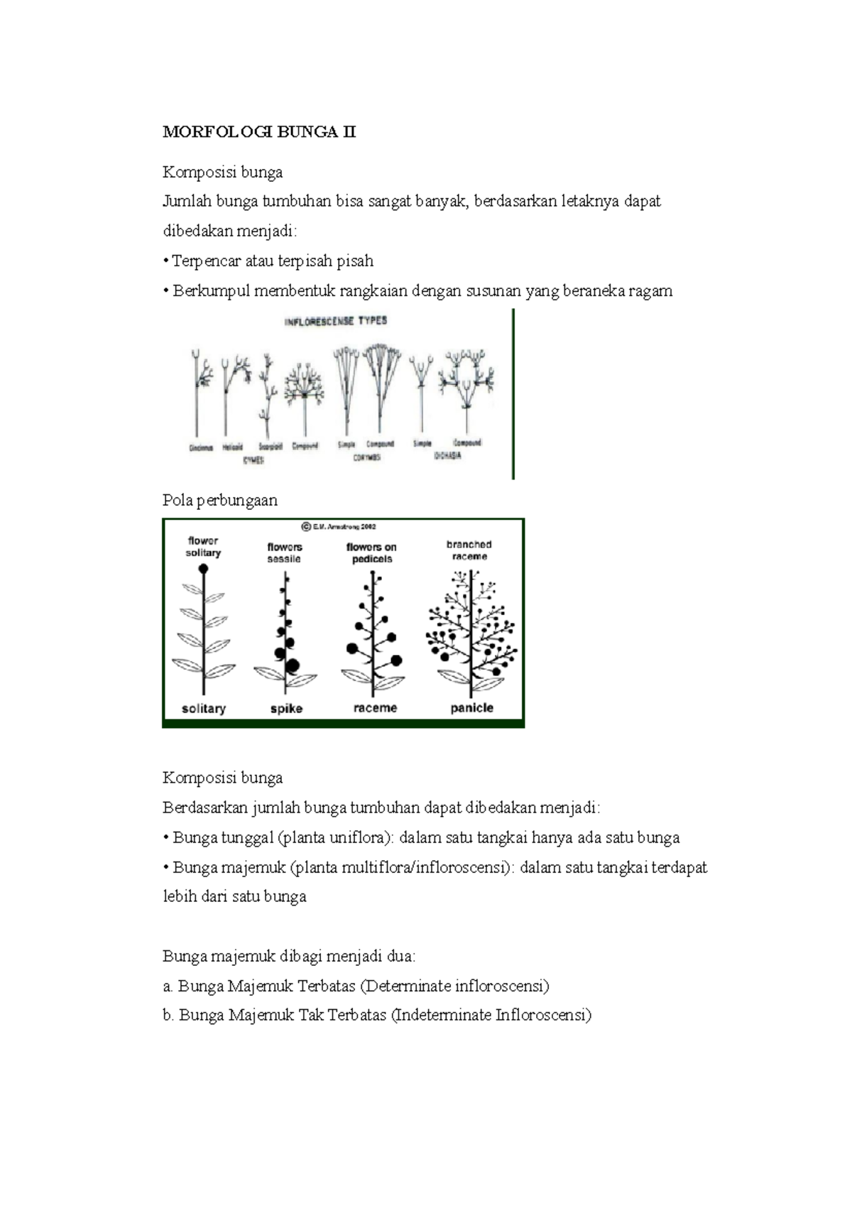 Morfologi Bunga II - MORFOLOGI BUNGA II Komposisi Bunga Jumlah Bunga ...