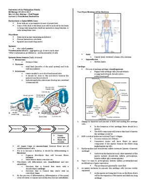 3.7 Gastrulation - Lecture notes - University of the Philippines Manila ...
