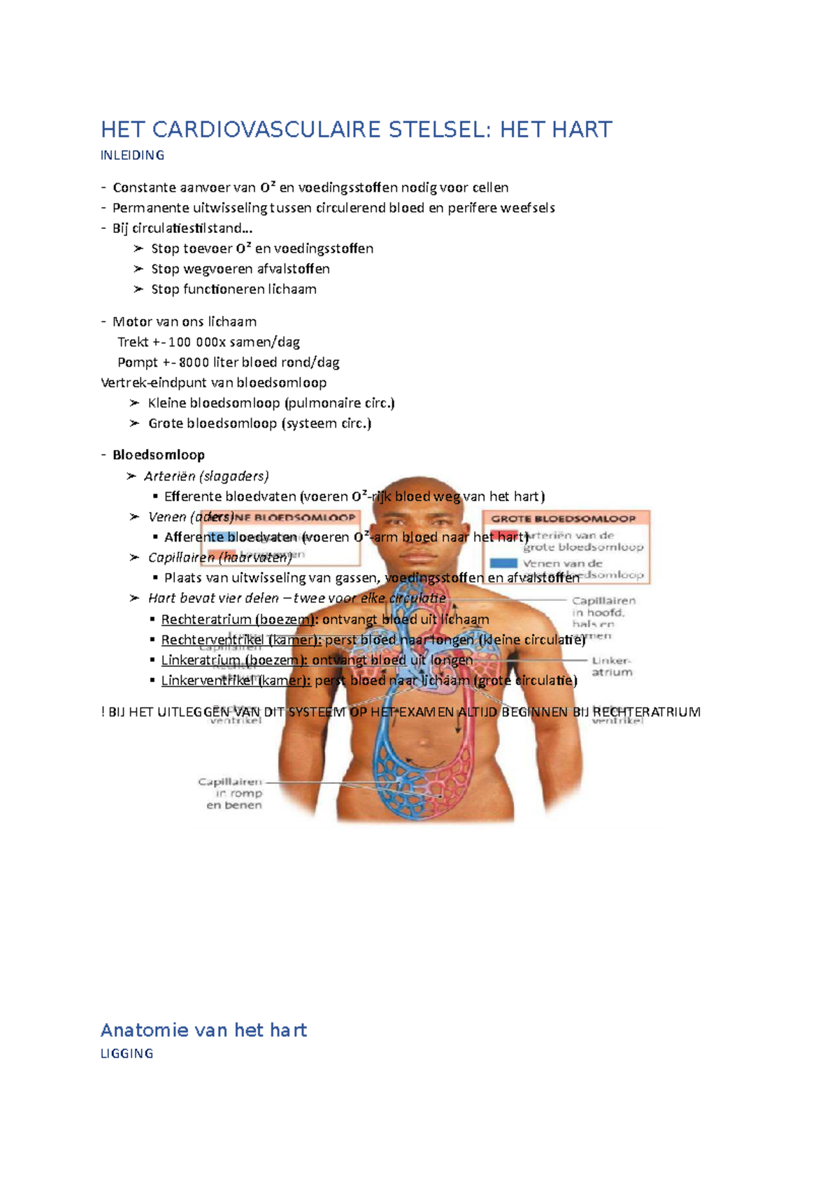 HET Cardiovasculaire Stelsel Hart - HET CARDIOVASCULAIRE STELSEL: HET ...