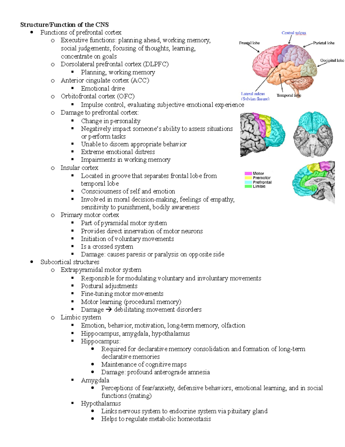 Exam 1 - Key Points - Structure/Function of the CNS Functions of ...