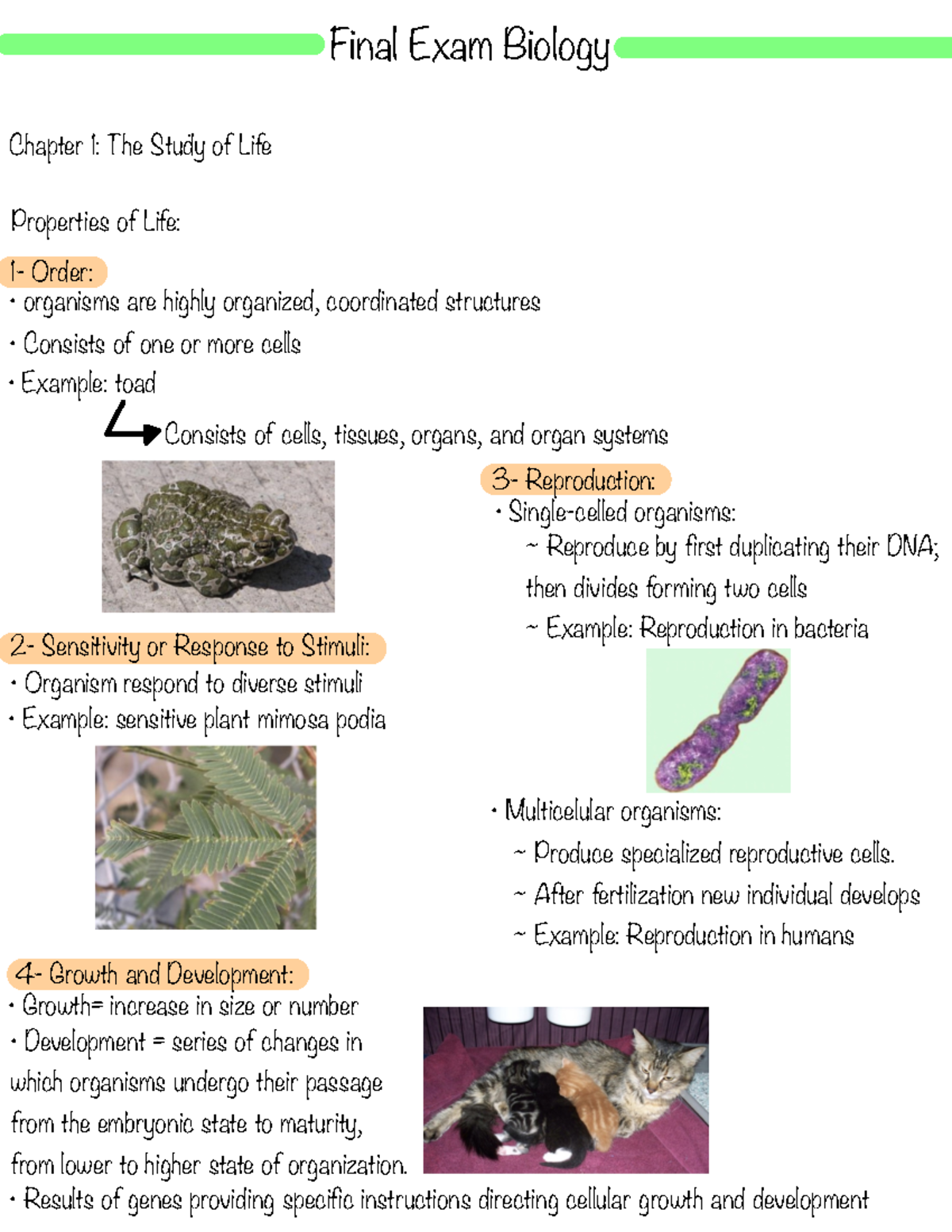 Biology - Review Chapter One - Final Exam Biology Chapter 1: The Study ...