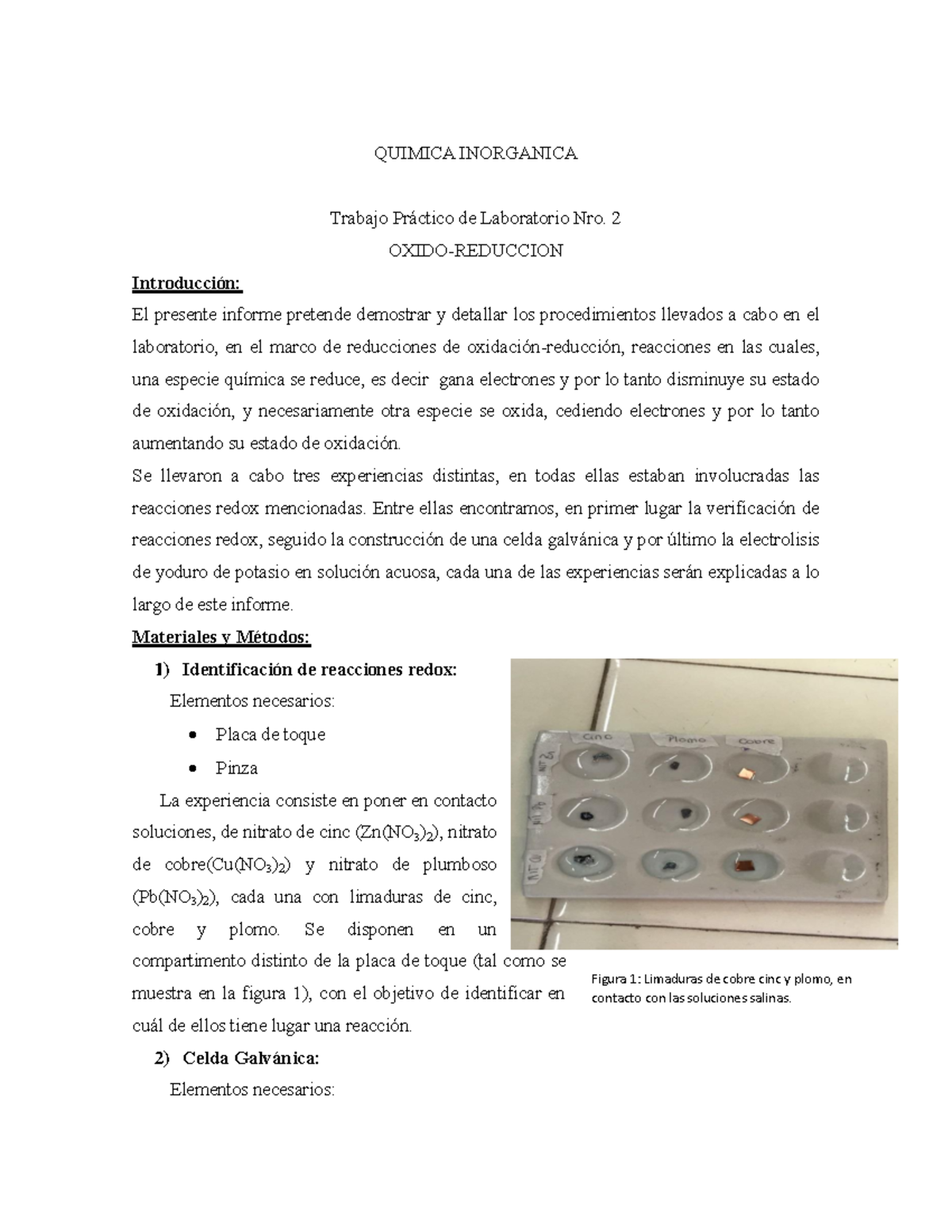 Informe De Laboratorio Oxido Reduccion Quimica Inorganica Trabajo