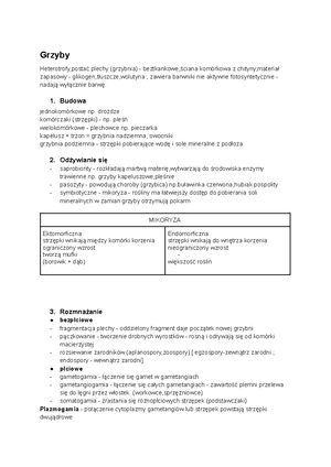 Focus 3 2E Test Unit3 Group B 1kol - Group B Name