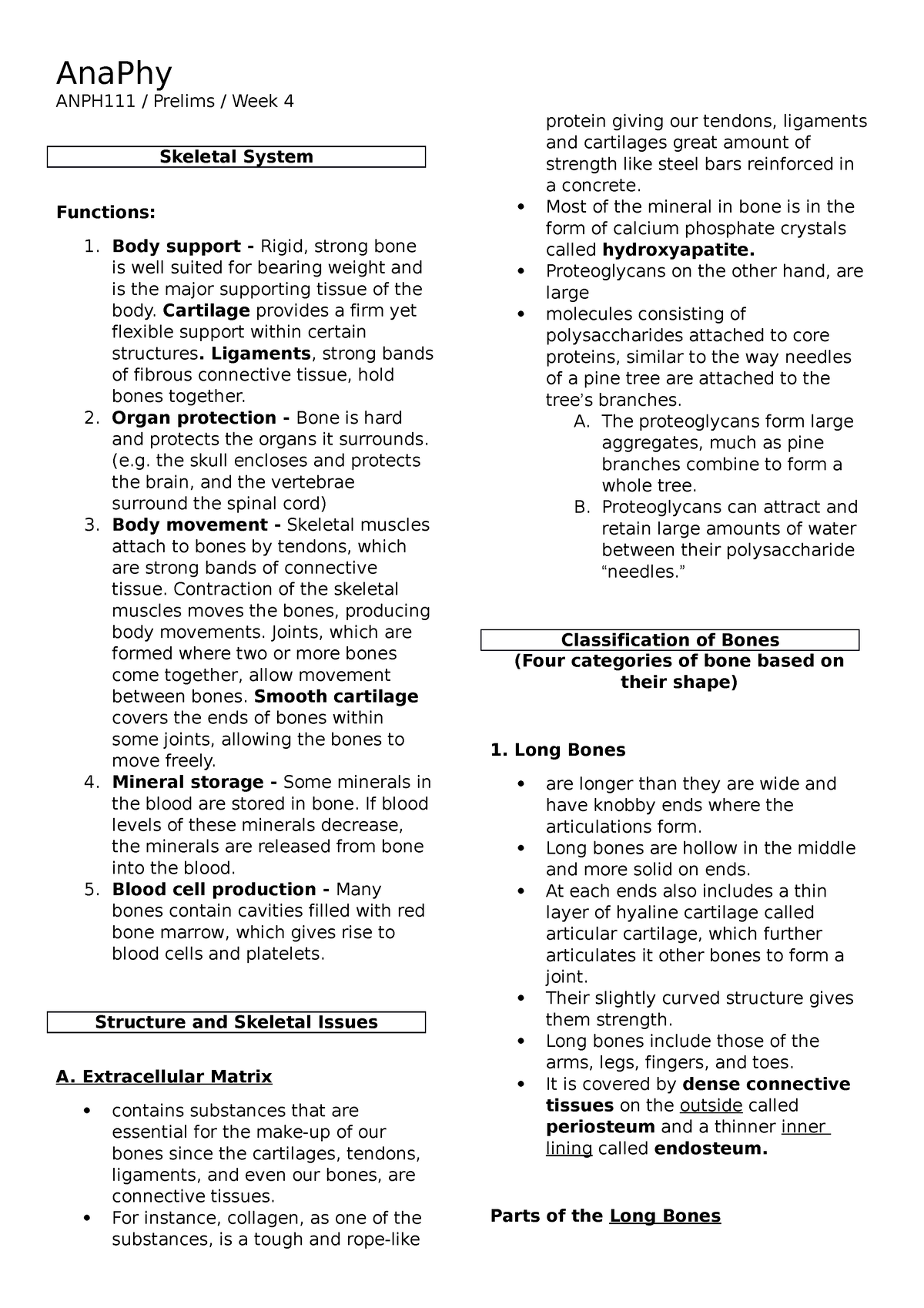 Leg, Definition, Bones, Muscles, & Facts