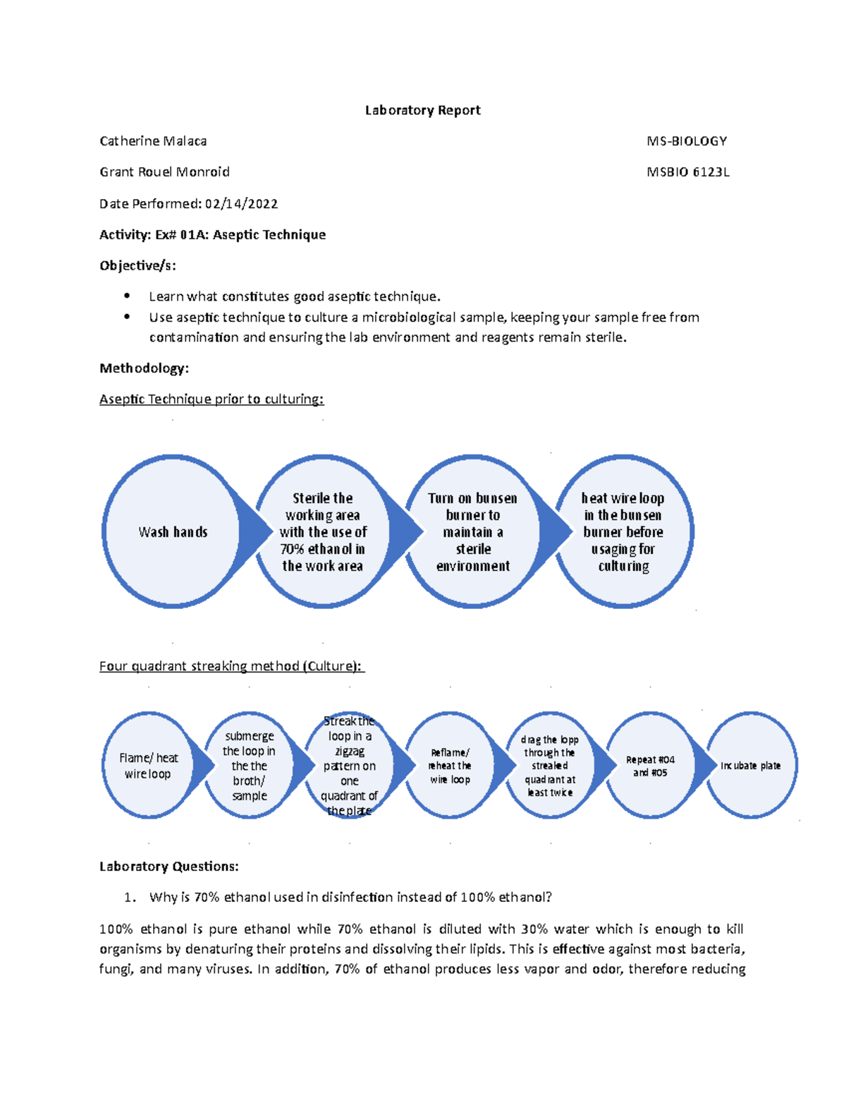 Aseptic Technique Labster Laboratory Report Catherine Malaca MS