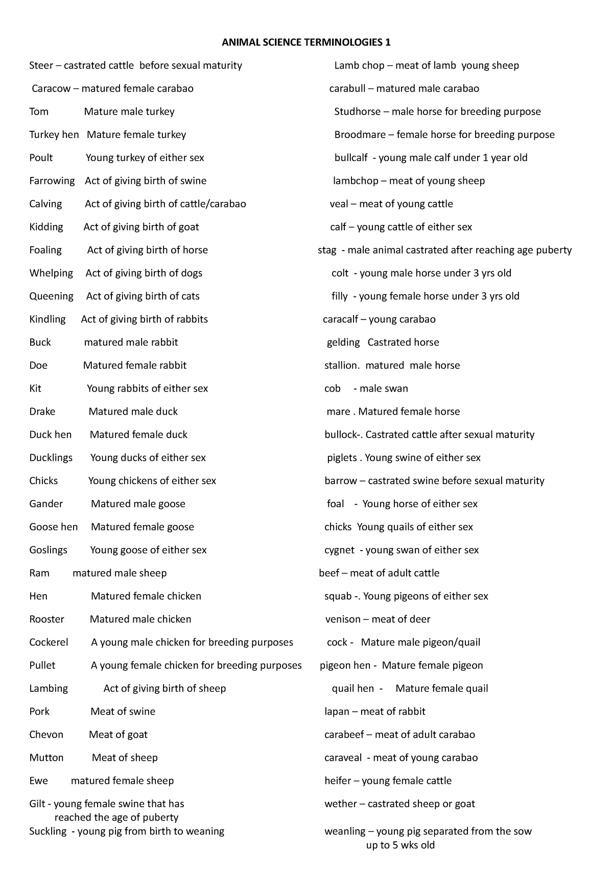 AS- Terminologies - ANIMAL SCIENCE TERMINOLOGIES 1 Steer – castrated ...