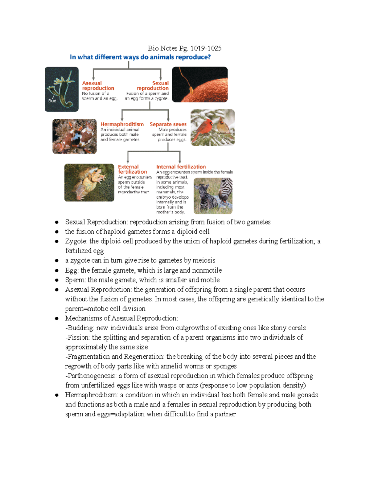 Bio Notes Pg - 1019- Sexual Reproduction: reproduction arising from ...
