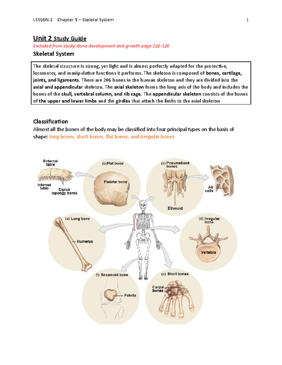 Unit 2.2 (Skeletal System) - Unit 2 Study Guide Excluded From Study ...