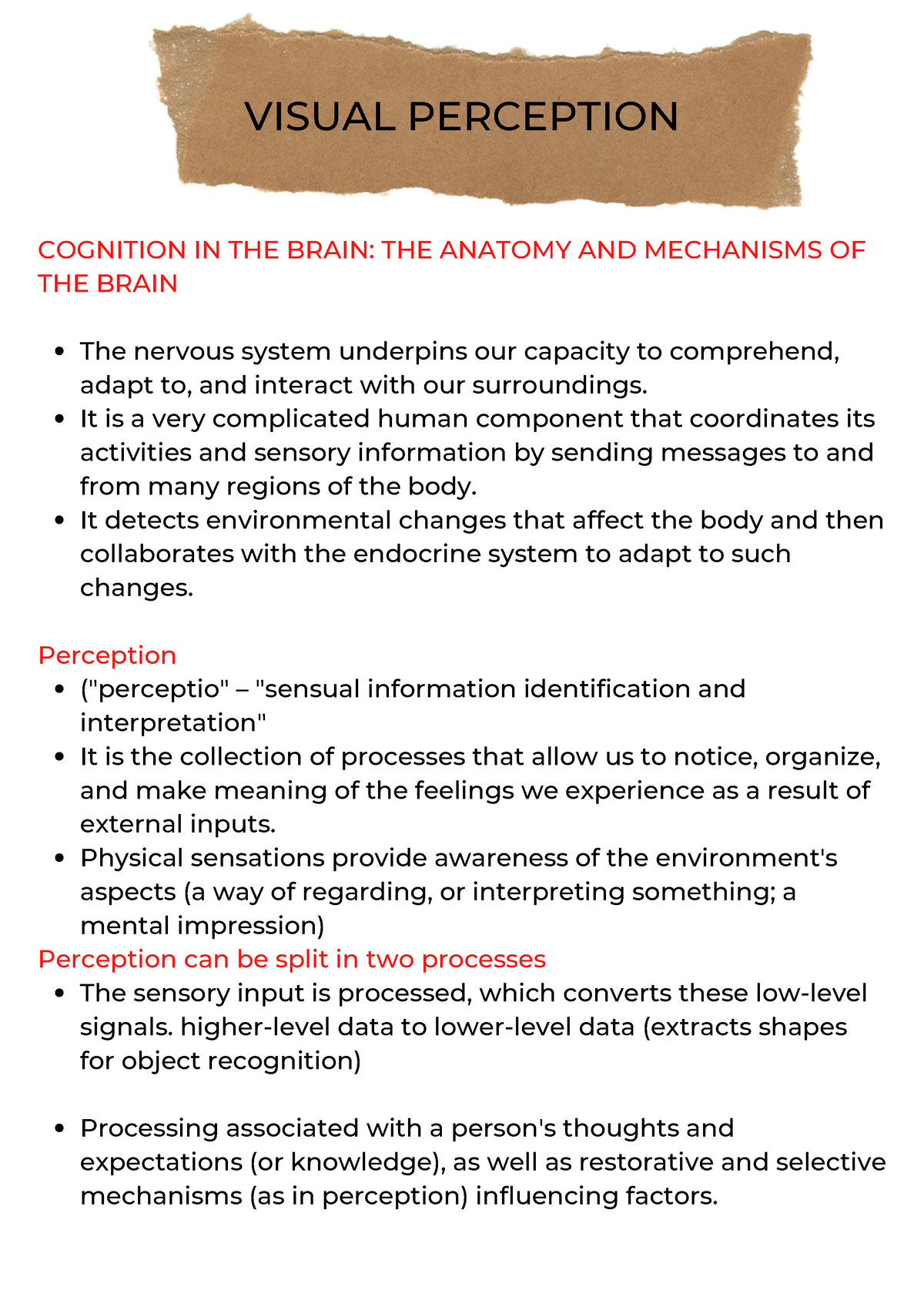 Chapter 3 - Lecture Notes 3 - Cognitive Psychology - DHVSU - Studocu