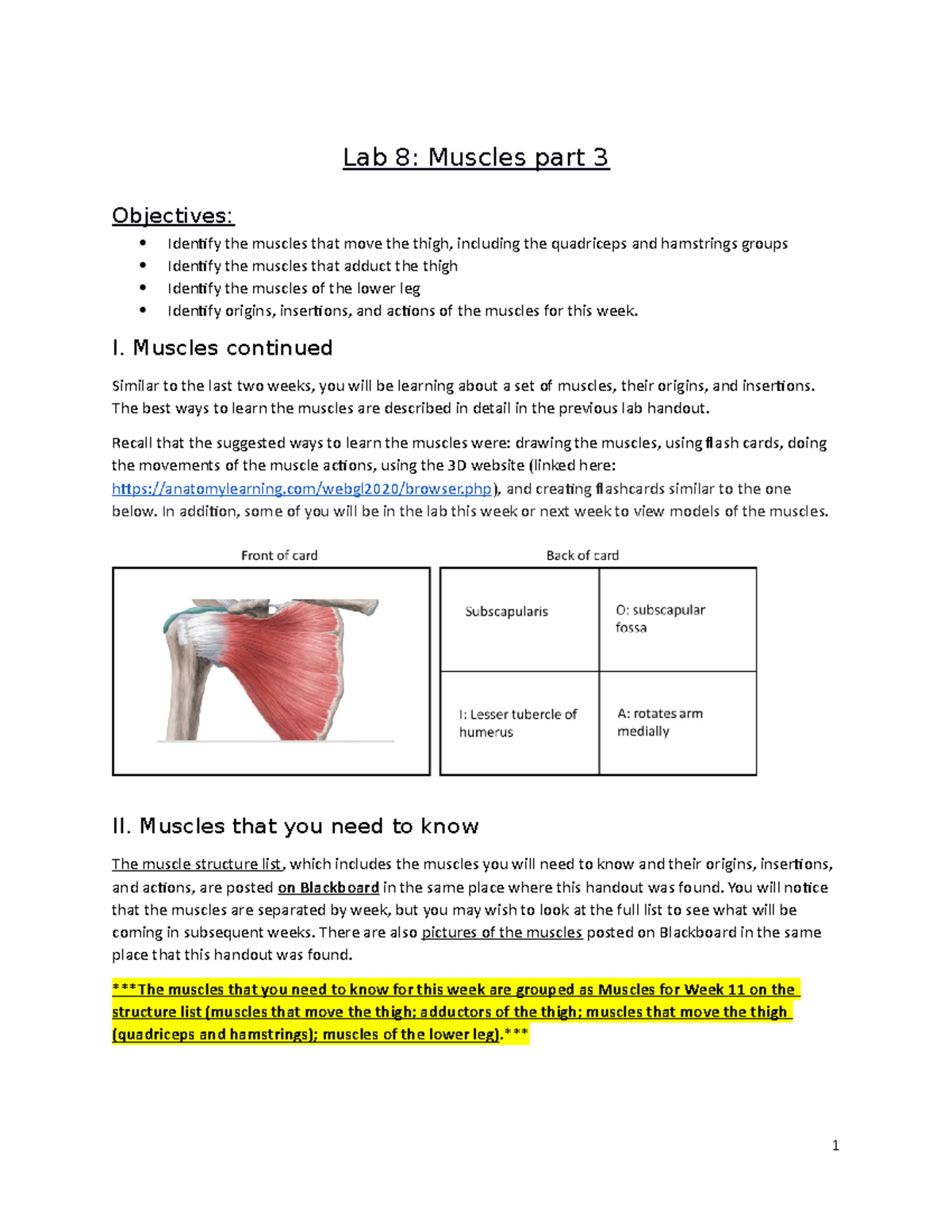 Lab 8 Muscles Part 3 - Lab - Lab 8: Muscles Part 3 Objectives: Identify ...