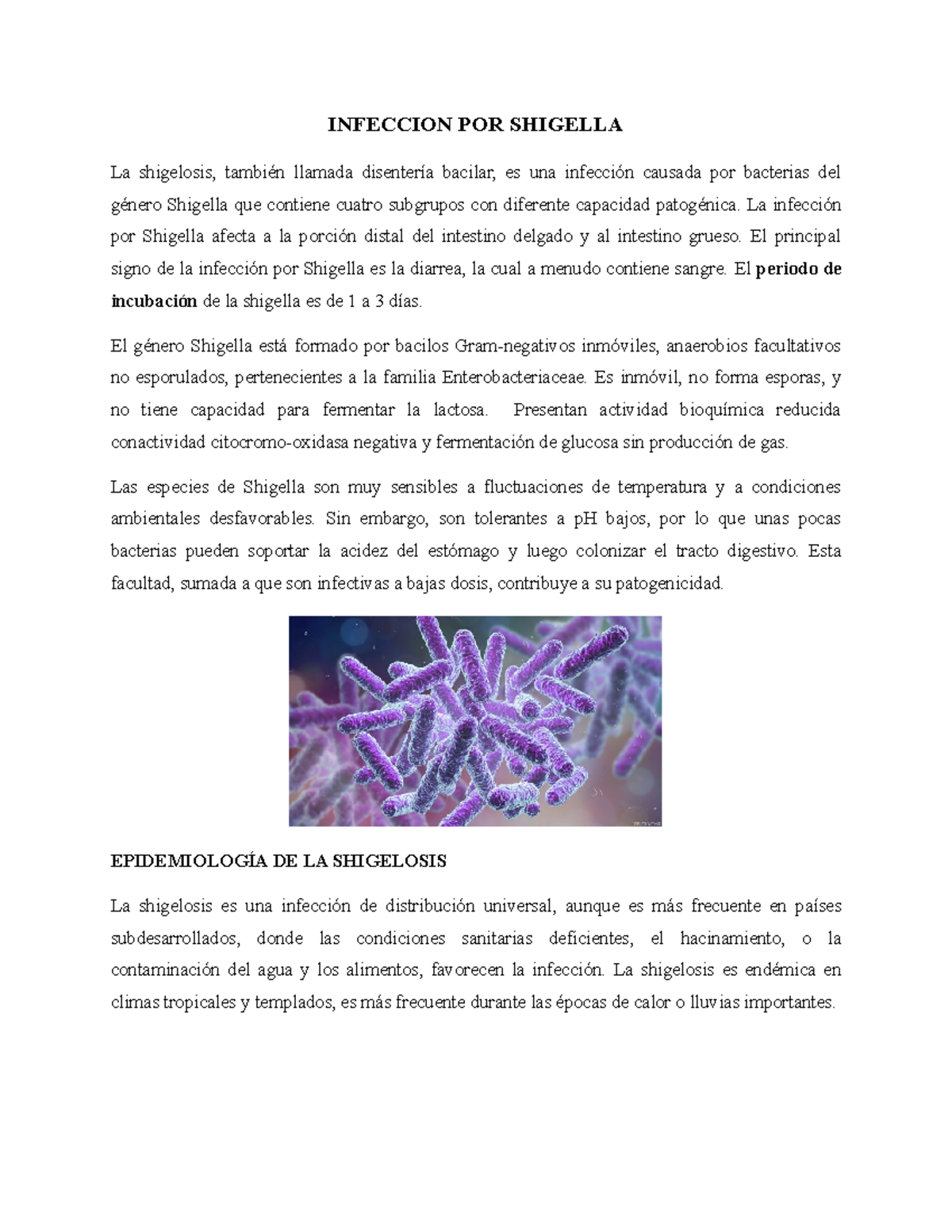 Infeccion POR Shigella - INFECCION POR SHIGELLA La Shigelosis, También ...