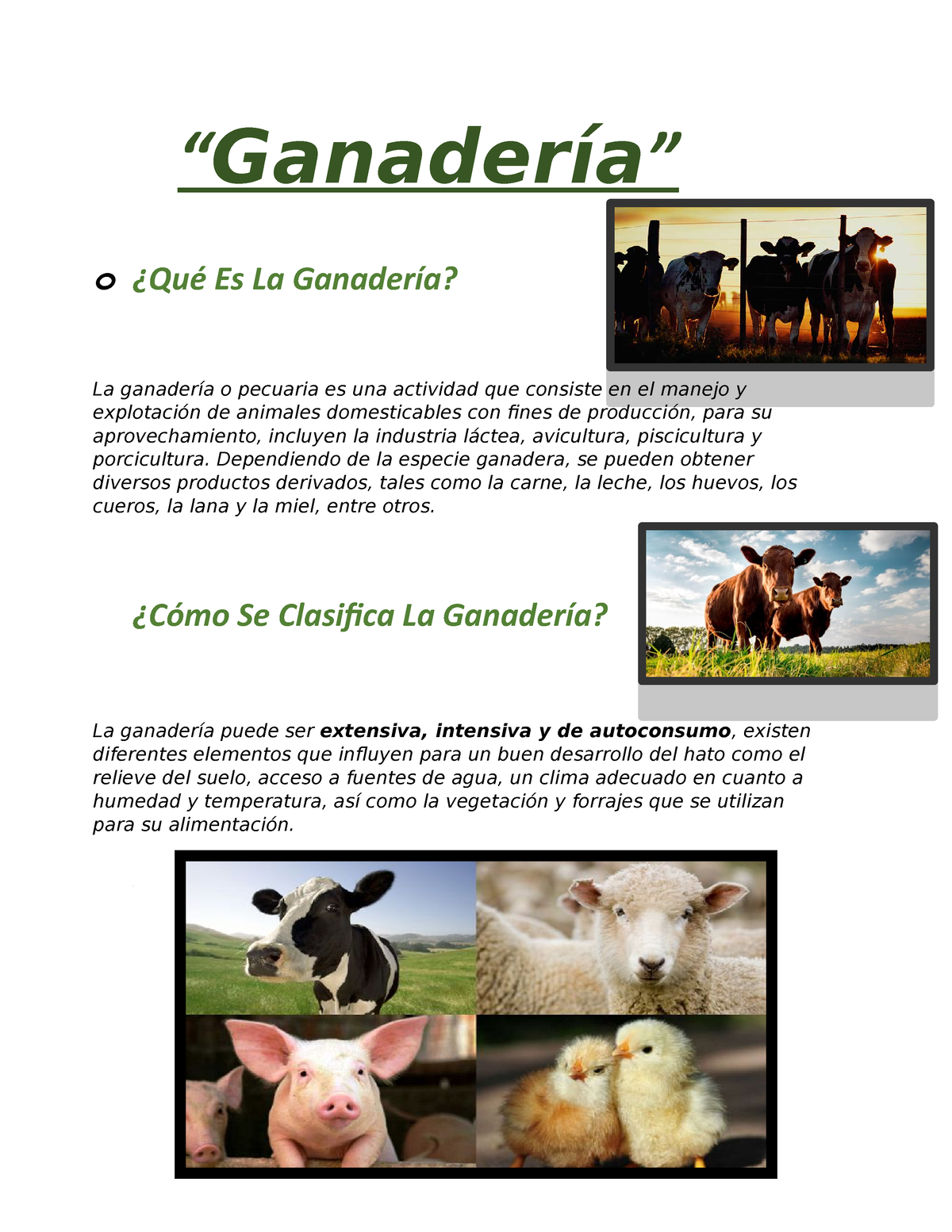 Ganadería es muy util “Ganadería” o ¿Qué Es La Ganadería? La